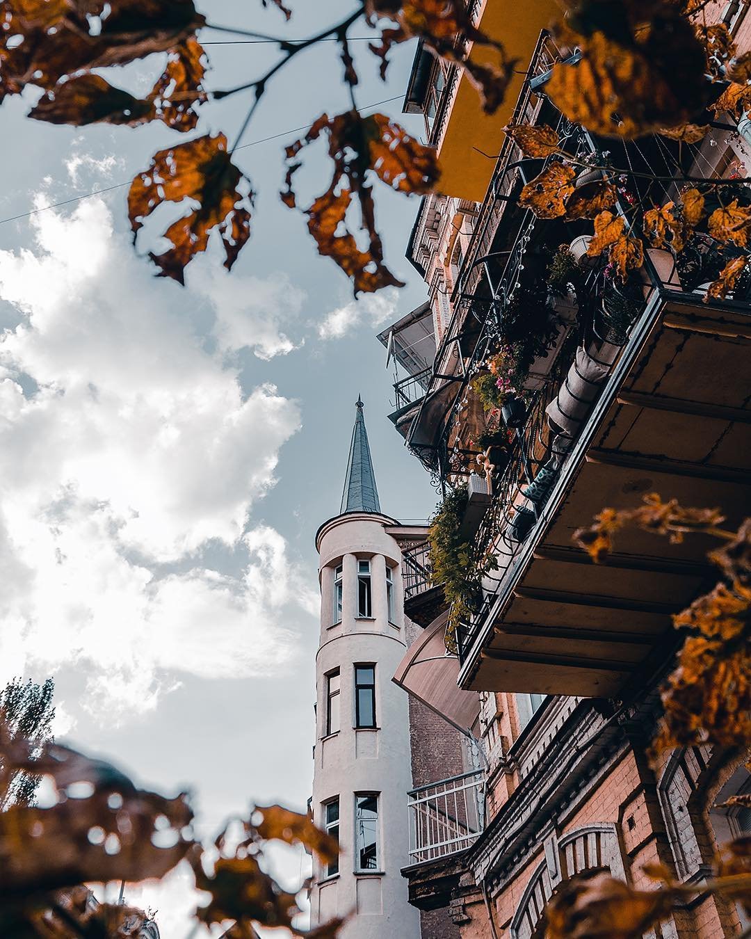 Сказочная осень. Фото: @zhukevych Сказочная осень. Фото: @zhukevych