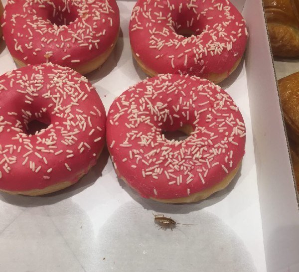 В супермаркете Fozzy покупательница заметила таракана в отделе с выпечкой