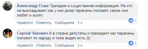 В Киеве в супермаркете Fozzy на выпечке ползают тараканы: что говорит администрация и соцсети 3