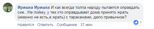 В Киеве в супермаркете Fozzy на выпечке ползают тараканы: что говорит администрация и соцсети 5