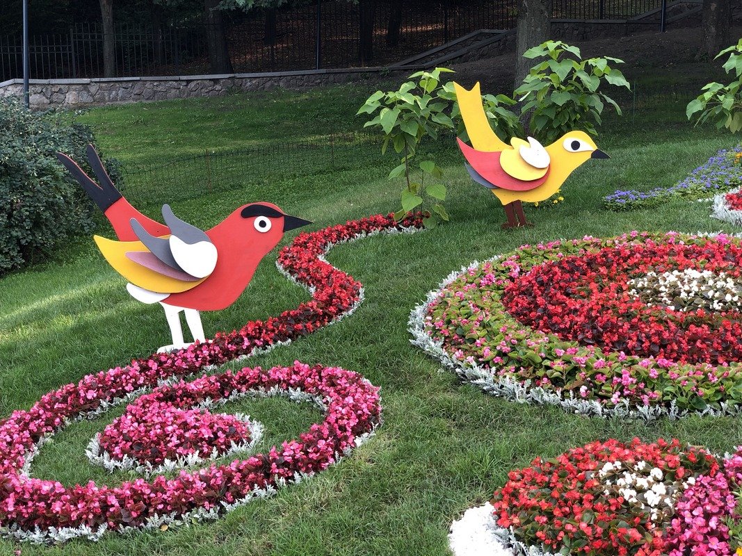 На Певческом поле стартует благотворительный марафон в поддержку детей с инвалидностью