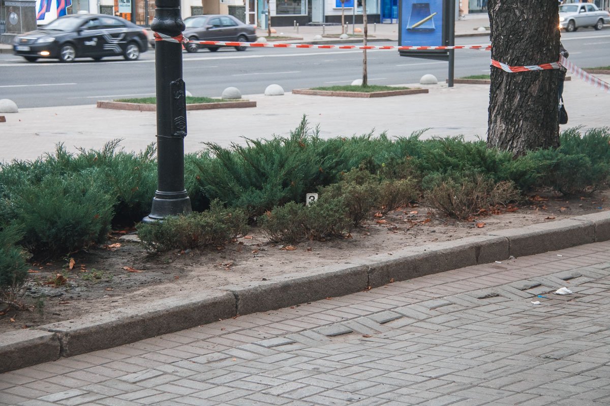 Место, где подростки "скинули" украденный телефон Место, где подростки "скинули" украденный телефон