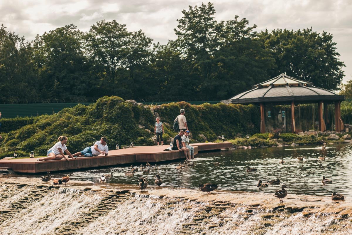 Прокатитесь на теплоходе в Межигорье, прогуляйтесь по райскому местечку - и прекрасные выходные обеспечены Прокатитесь на теплоходе в Межигорье, прогуляйтесь по райскому местечку - и прекрасные выходные обеспечены