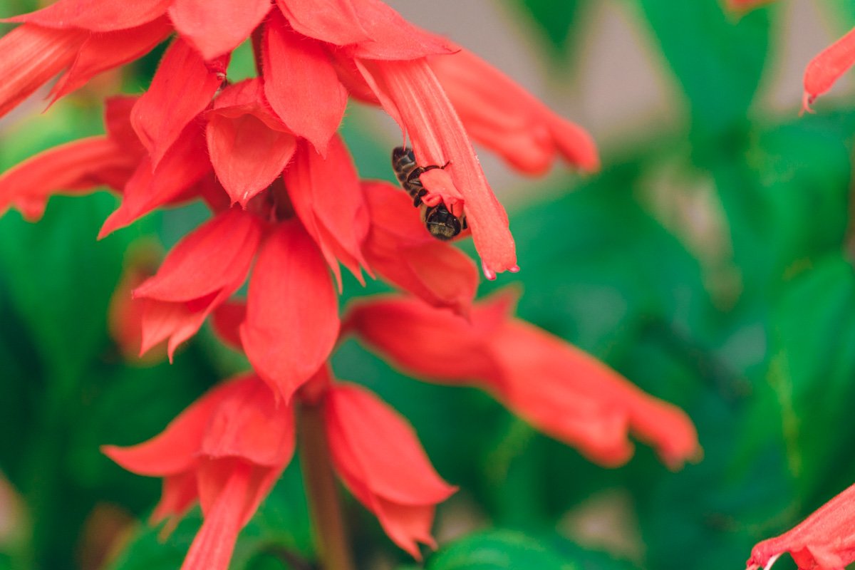 Шагай в ногу с природой! Просыпайся с ней вместе и будешь так же прекрасен и бодр! Шагай в ногу с природой! Просыпайся с ней вместе и будешь так же прекрасен и бодр!