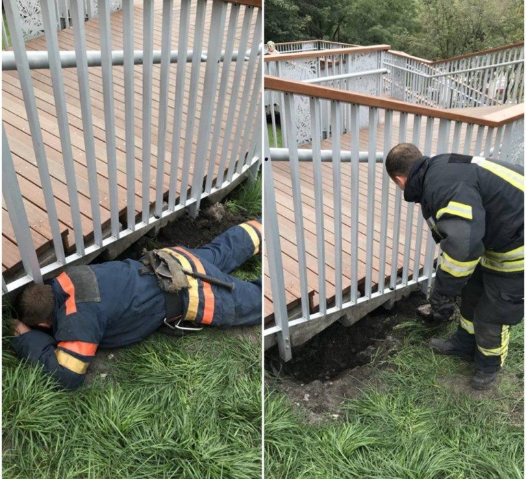 Спасатели достали щенка из ловушки и ищут его хозяина Спасатели достали щенка из ловушки и ищут его хозяина