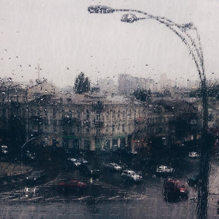 А вот и первые осенние дожди. Фото: @alinarudyuk