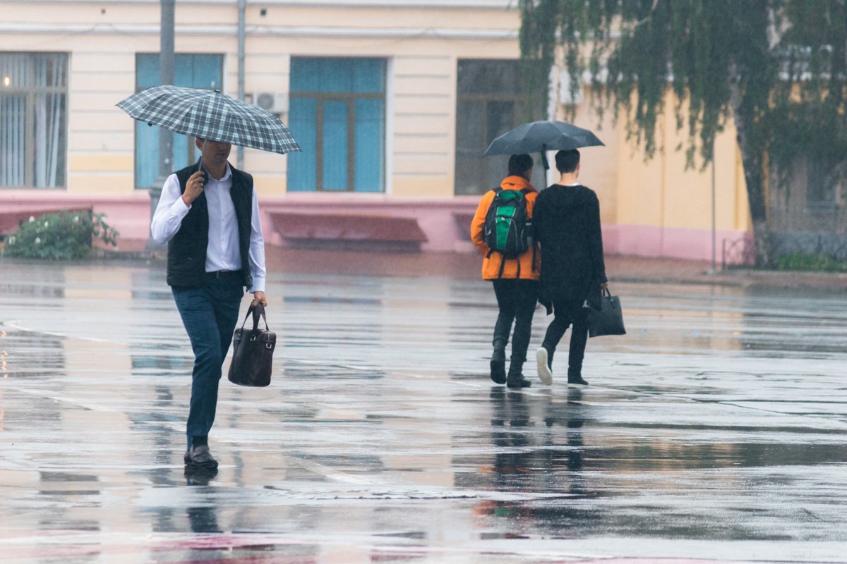 Каждой паре по зонтику Каждой паре по зонтику