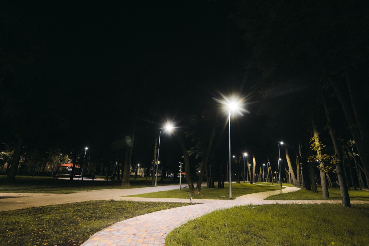 На фото видны фонари по всему парку 