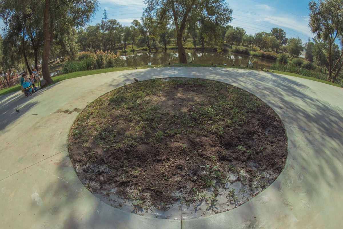 Видимо, скоро здесь появятся цветы