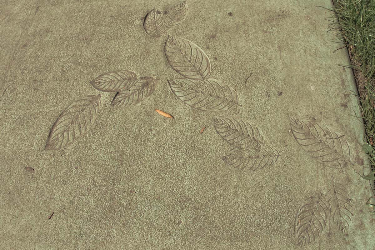 Посмотри под ноги и увидишь оттиски