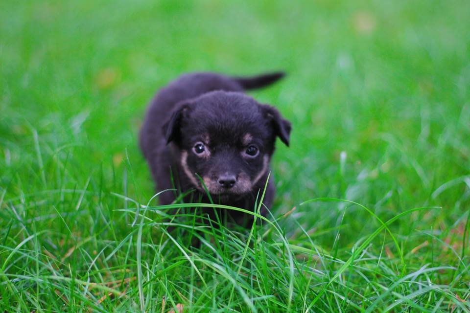 Мишка - маленький и очень добрый карапуз Мишка - маленький и очень добрый карапуз