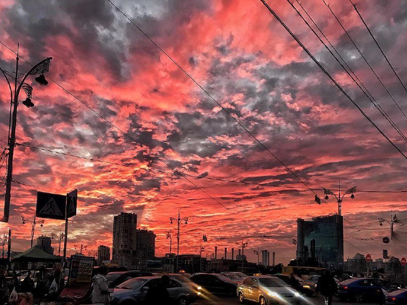 Второй! Фото:@mefimus