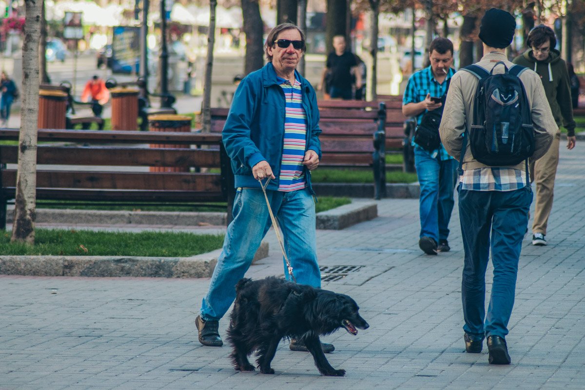 А вот у собак не бывает понедельников, для них каждый день - праздник