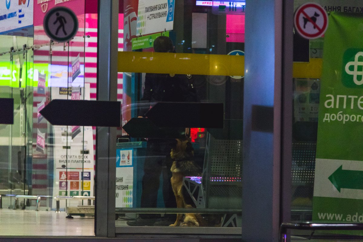 В здании работали саперы