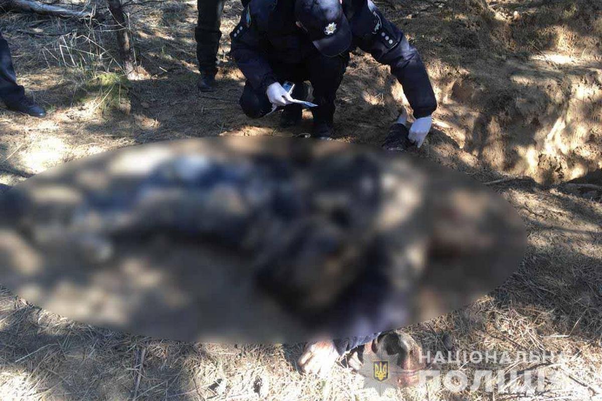 Мужчину убили, а тело закопали в лесу Мужчину убили, а тело закопали в лесу
