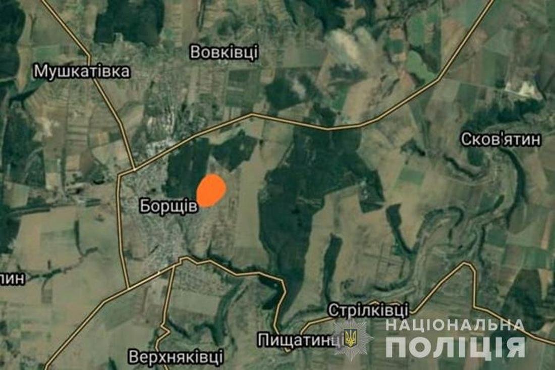 В Тернопольской области новорождённого ребенка выбросили на свалку В Тернопольской области новорождённого ребенка выбросили на свалку