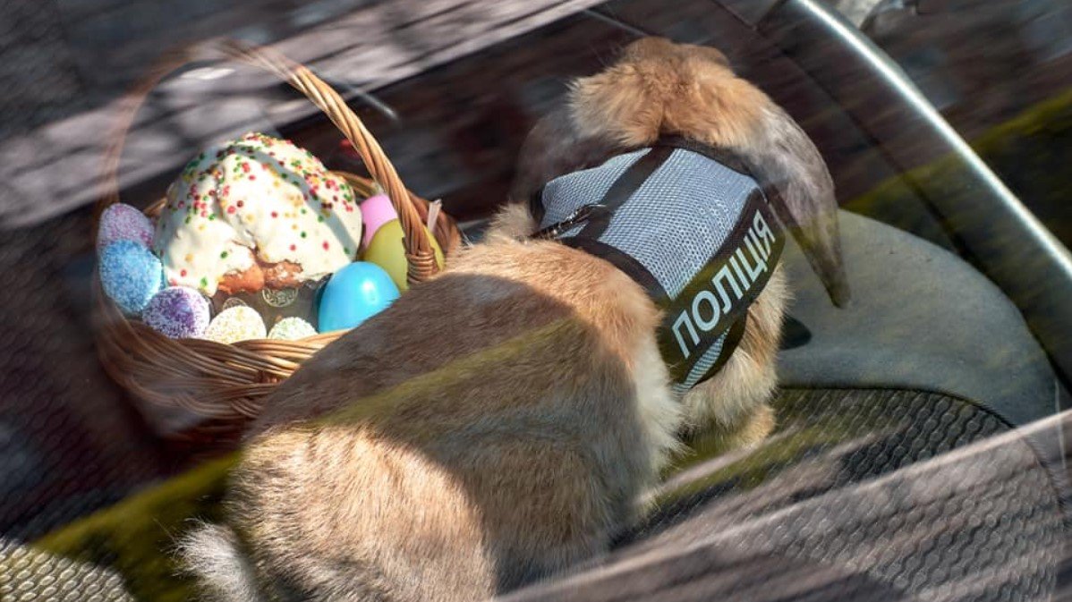 В университете МВД в Днепре появился пушистый курсант Топотун 2