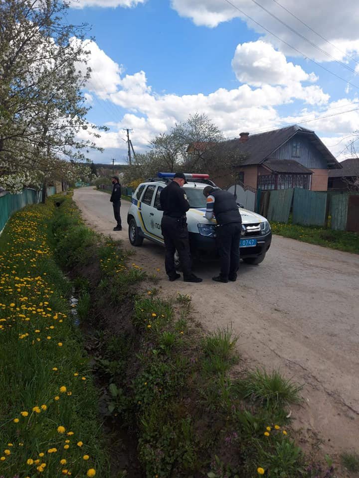 У Івано-Франківській області зафіксували масове отруєння бджіл 3