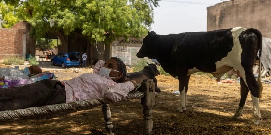 В Индии пациентов с коронавирусом лечат под открытым небом: капельницы висят на деревьях 2