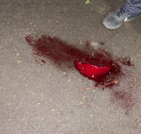 У Києві проходить акція проти "поліцейського сафарі". Причиною стало побиття художника 14