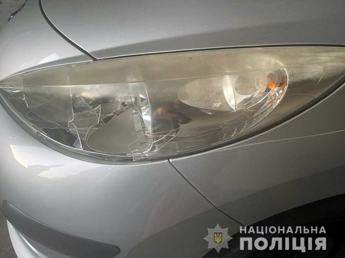 В Житомирской области пьяный водитель сбил ребёнка и скрылся 1