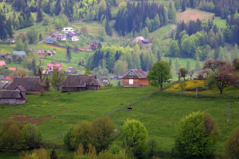 Для тех, кто не любит море: где ещё в Украине отдохнуть летом на природе 2