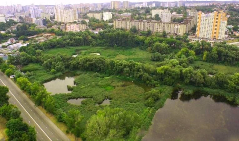 ТРЦ не будет: прокуратура вернула столице земли у Совских прудов за более 600 млн гривен 1
