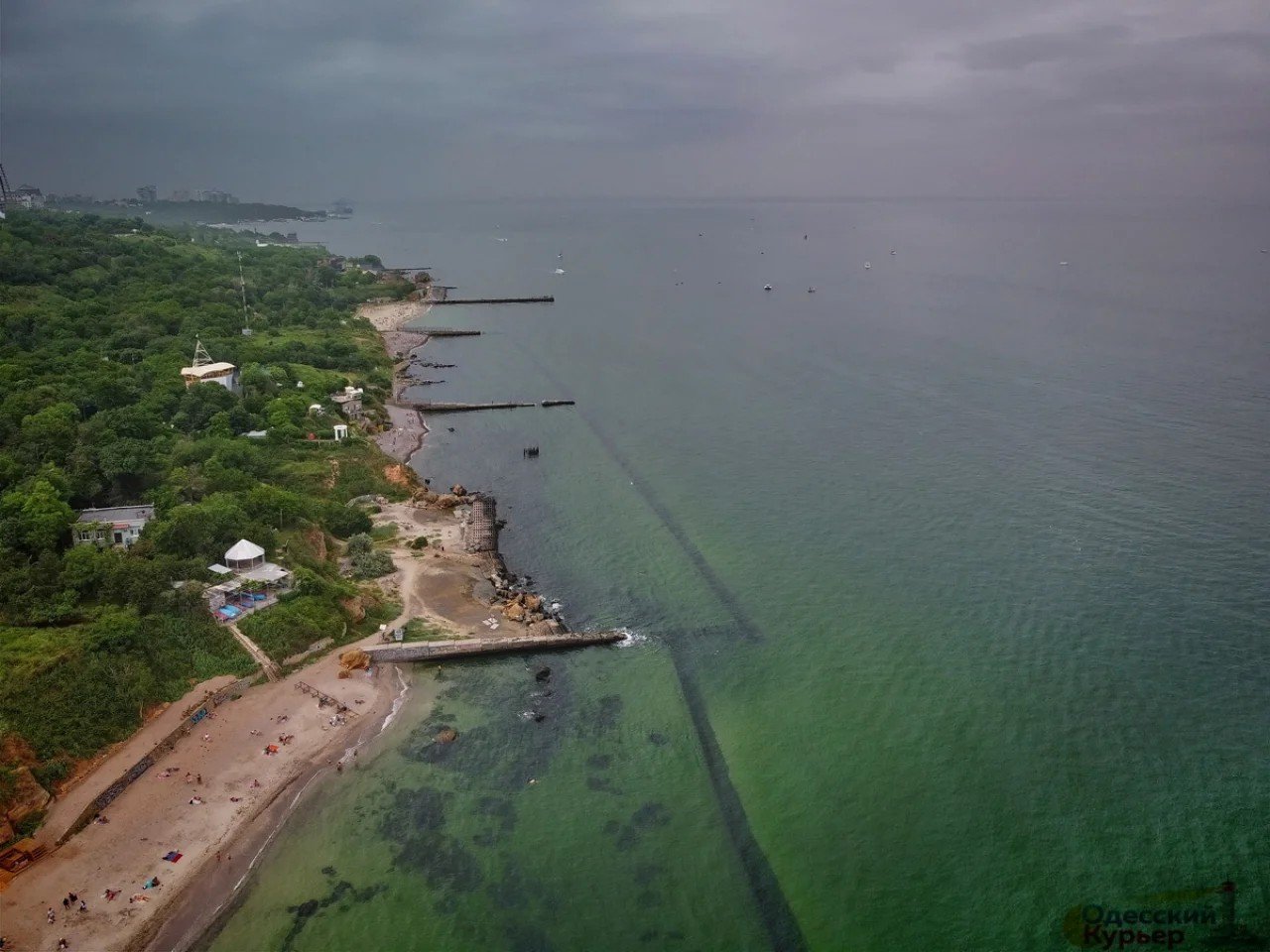 В Одессе «цветёт» Чёрное море: вода у берегов стала оливково-зелёного цвета 3