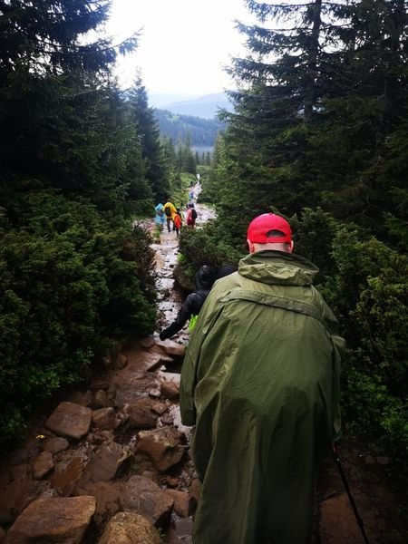 На Говерле из-за сильных ливней застряли 46 туристов 1