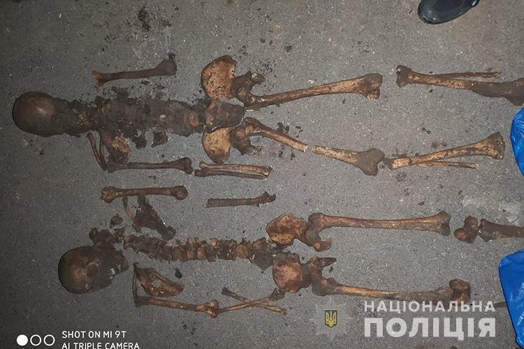 В Тернопольской области женщина в собственном дворе нашла четыре скелета 1
