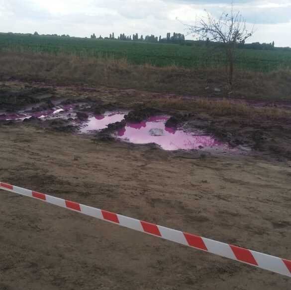 Держекоінспекція звернулася в поліцію через рожеві калюжі під Рівним 2