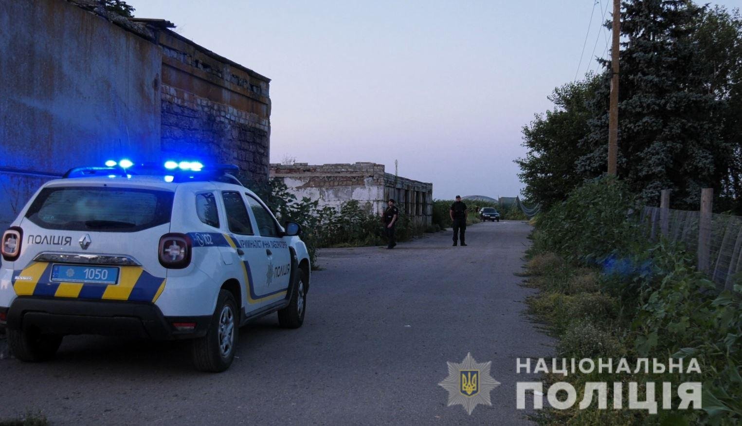В Херсонской области нашли рекордный посев конопли на более чем 300 миллионов гривен 4