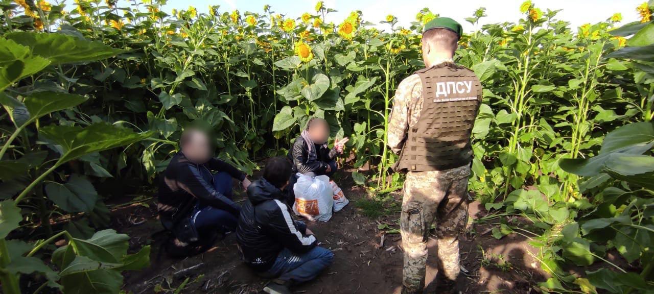 Переховувалися у соняшниках: під Харковом затримали злодія в законі Левана Гальського і кримінального авторитета 1