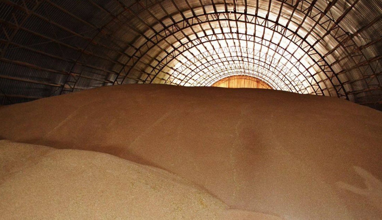 Продал госзерна на 15 миллионов: директор предприятия сторговал на сторону более трёх тонн агропродукции 1