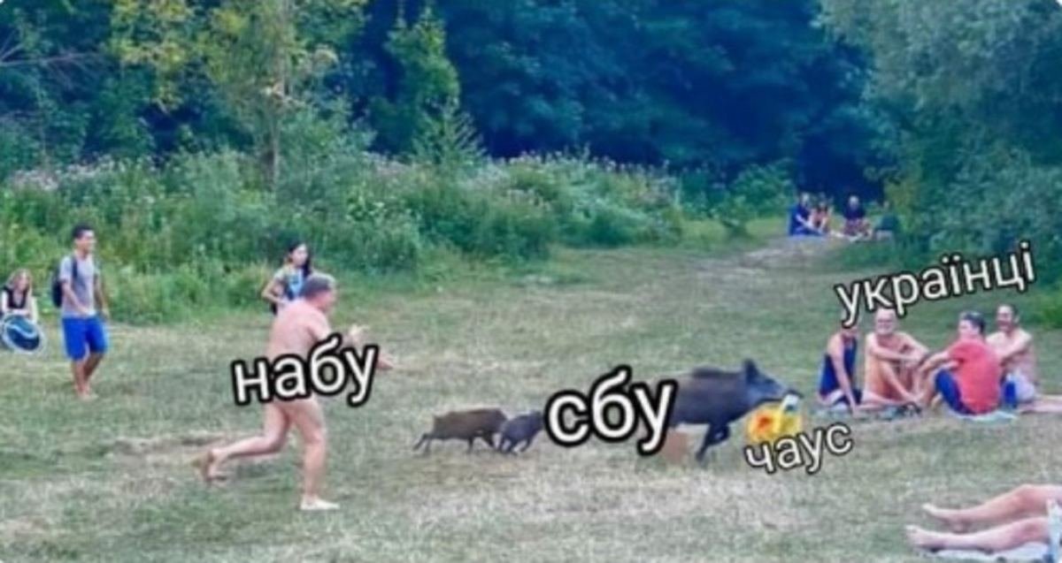 Николай Чаус нашёлся Николай Чаус нашёлся