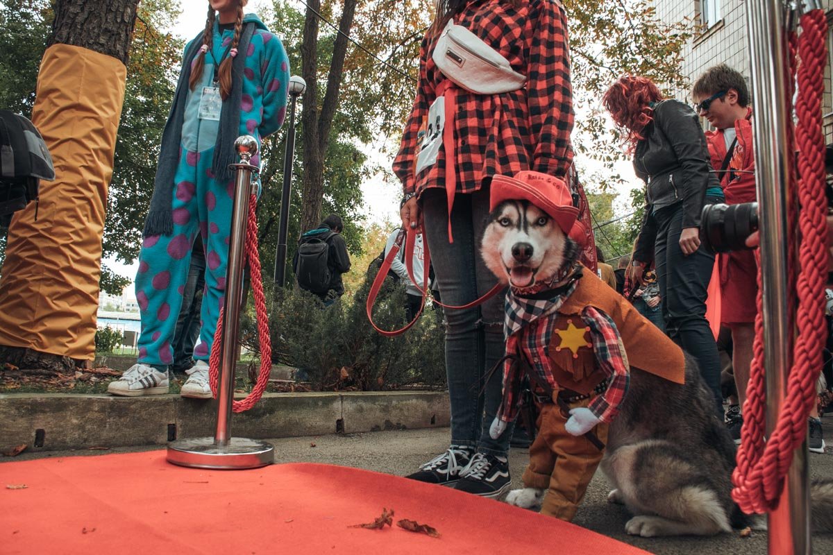«Звёздные войны» и Леди Димитреску: новые подробности Comic Con Ukraine в Киеве 3