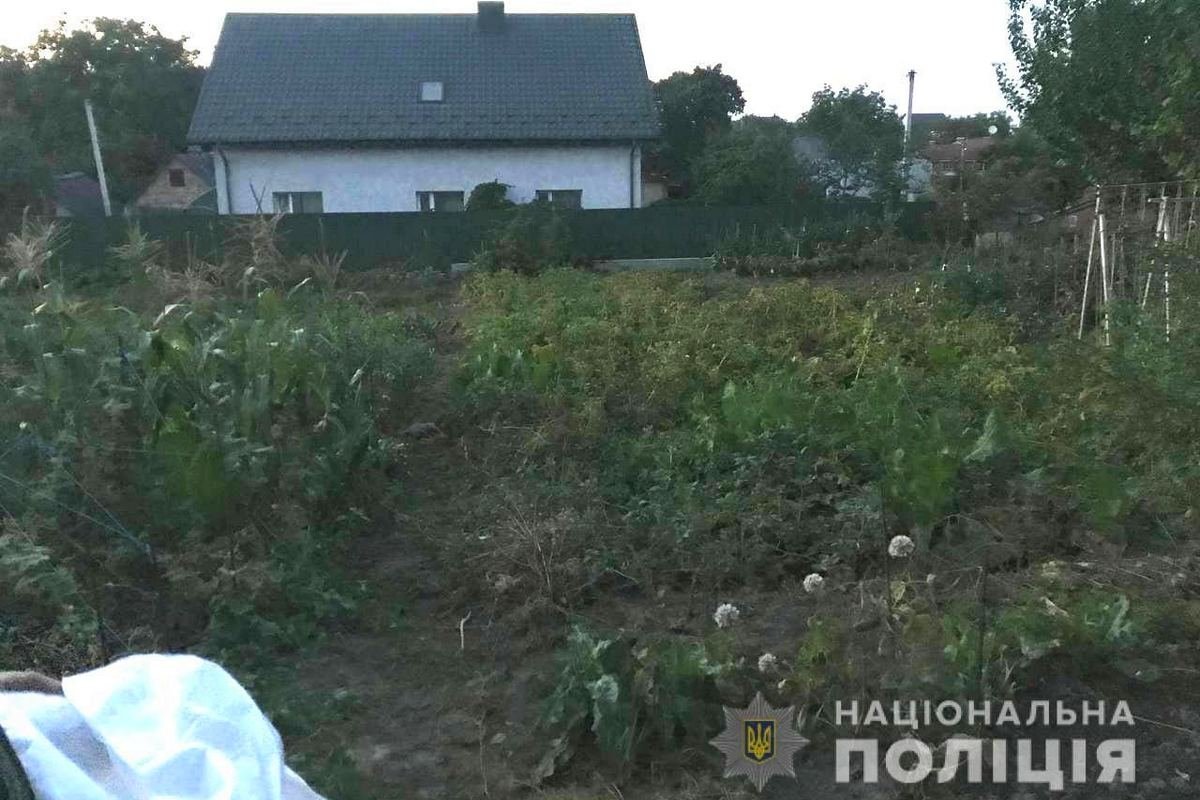 Стрелка задержали