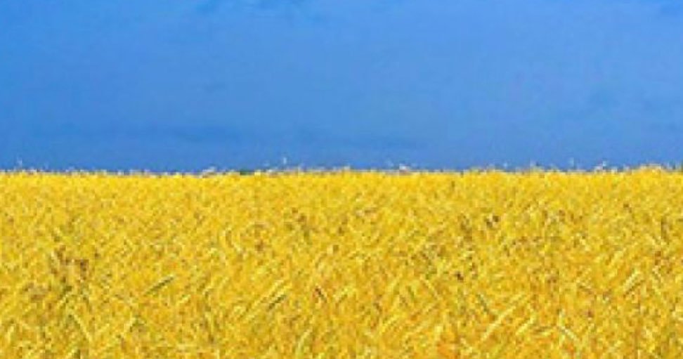День Незалежності 2021: найяскравіші фото і побажання українських зірок і спортсменів з соціальних мереж 10