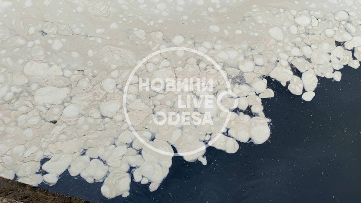 В Одессе Чёрное море покрылось белыми пятнами, люди жалуются на неприятный запах 1