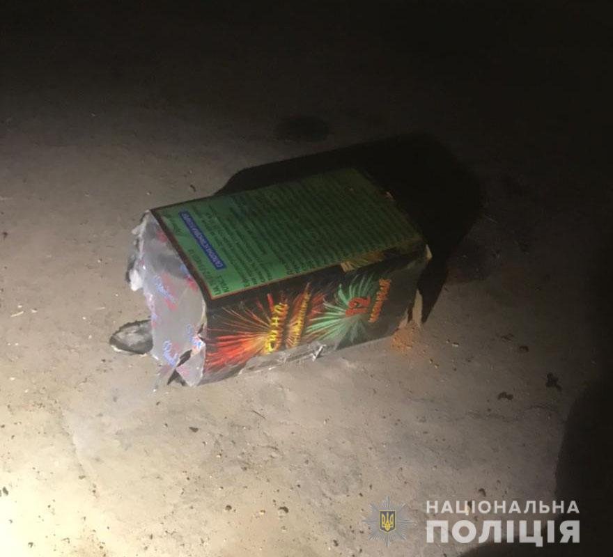 Бросил гранату и салютную установку: под Херсоном мужчина поджег ферму и уехал на электросамокате 4