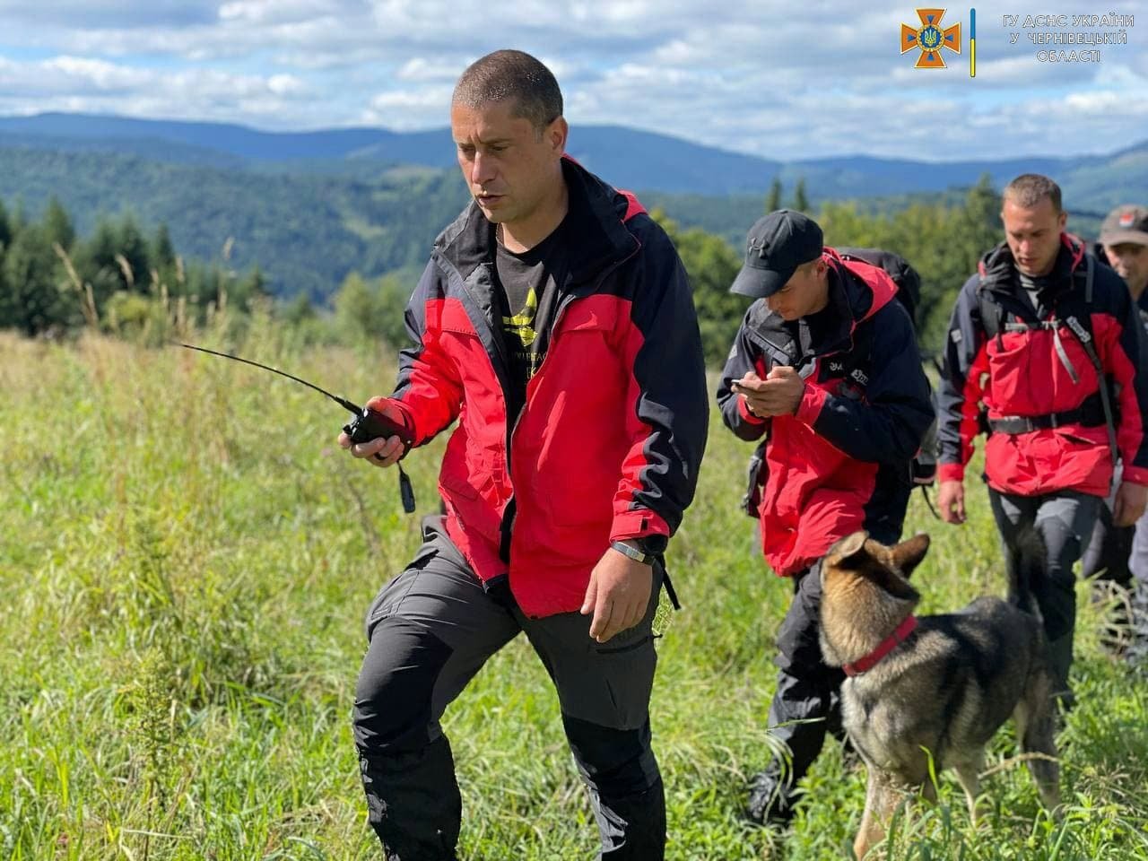 У Чернівецькій області четверту добу шукають грибника, який заблукав у лісі 3