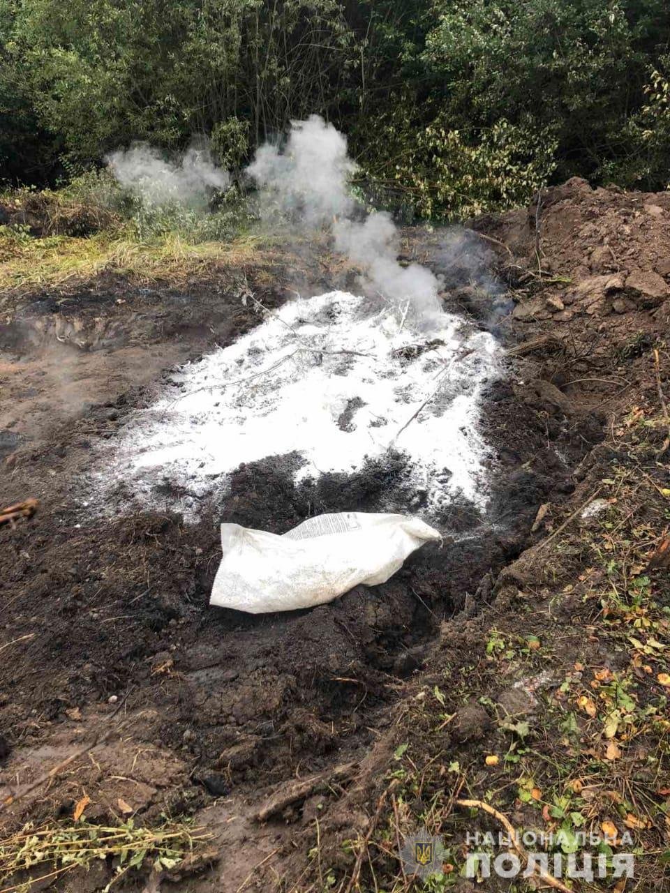 В Харьковской области ввели карантин из-за вспышки африканской чумы свиней 1