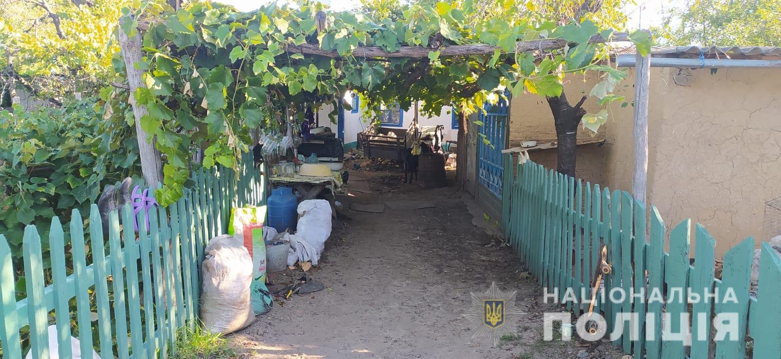 Заставлял пить алкоголь и душил: в Винницкой области мужчина похитил 11-летнюю девочку и пытался её изнасиловать 1