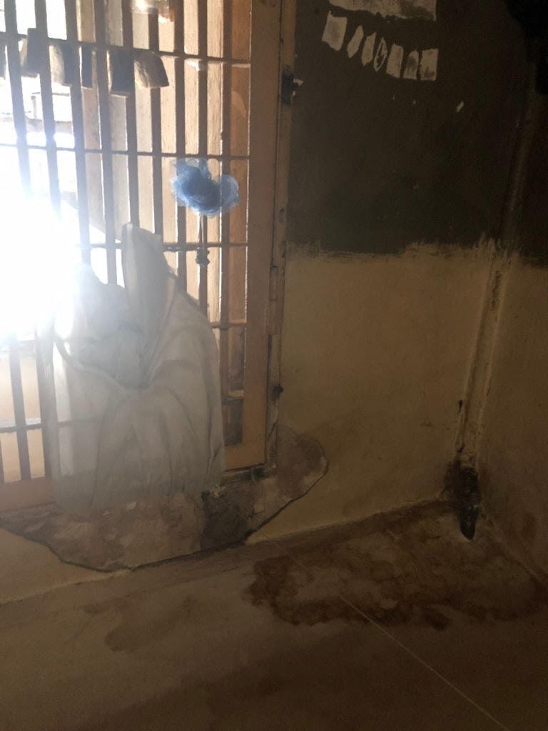 Грибок, протекающие трубы и множество нарушений: условия, в которых живут часть заключенных в Украине, приравнивают к пыткам 1