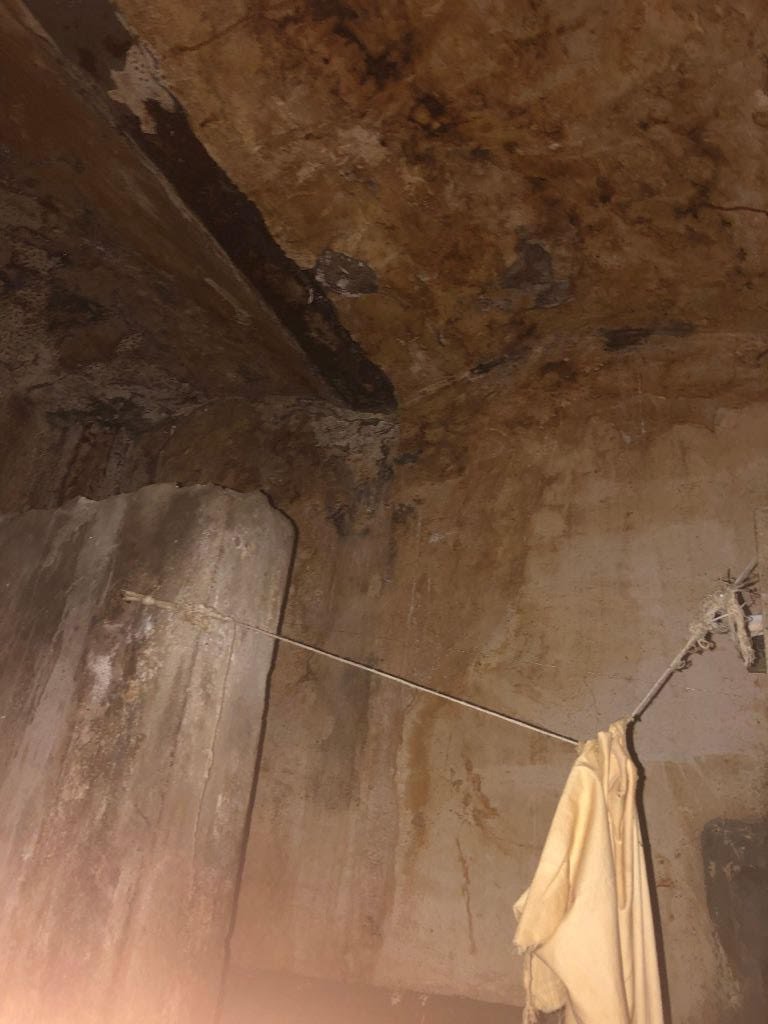 Грибок, протекающие трубы и множество нарушений: условия, в которых живут часть заключенных в Украине, приравнивают к пыткам 2