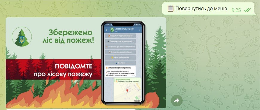 В Украине запустили чат-бот для борьбы с лесорубами, поджигателями и браконьерами 3
