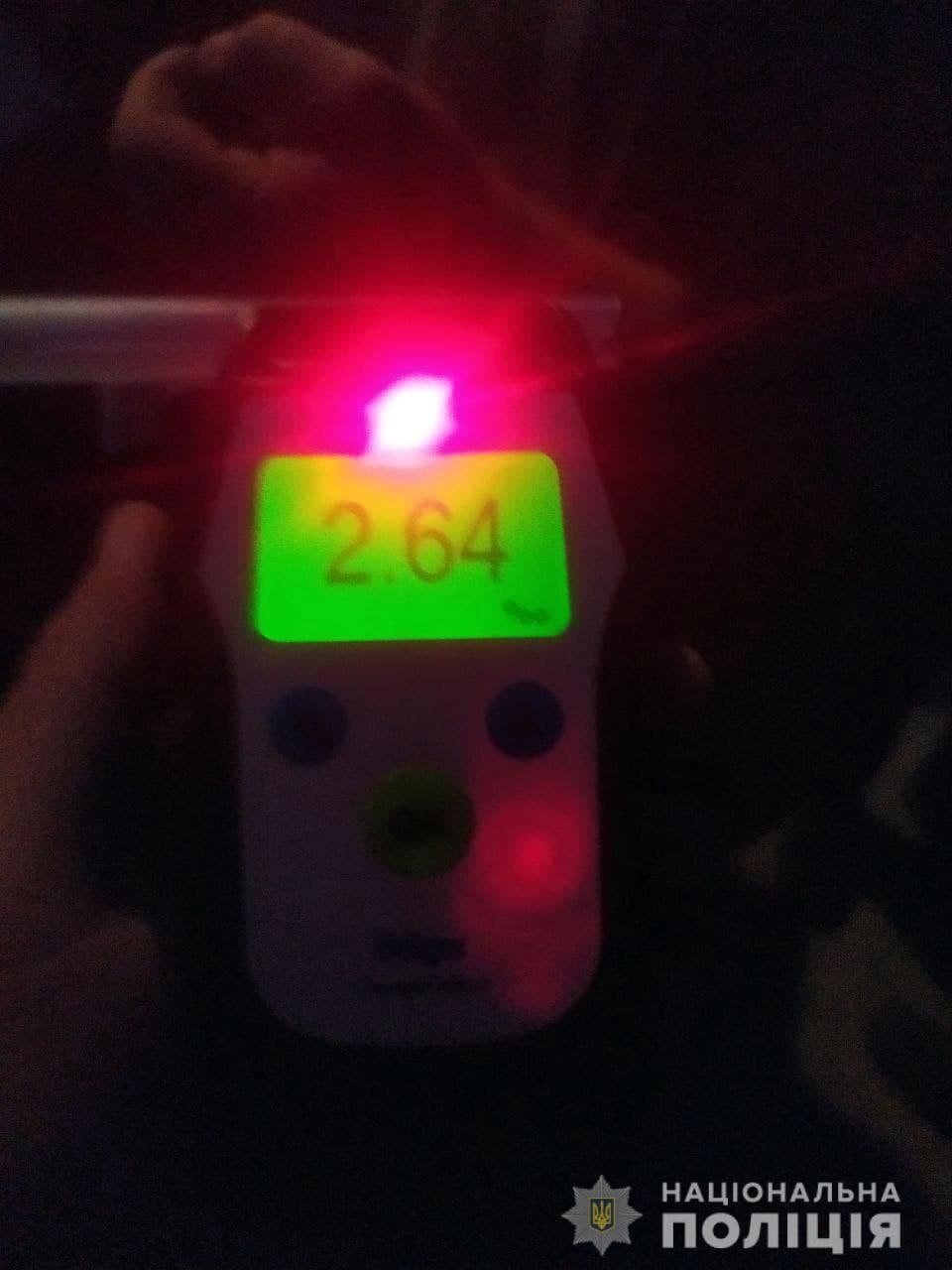 В Ровенской области пьяный водитель сбил насмерть двух коров, ещё четыре получили травмы 2