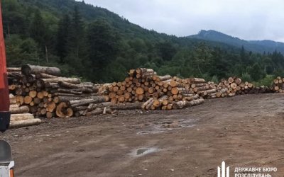 На Буковине незаконно рубили лес на территории заповедника 1