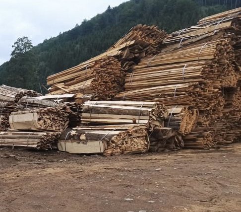 На Буковине незаконно рубили лес на территории заповедника 2