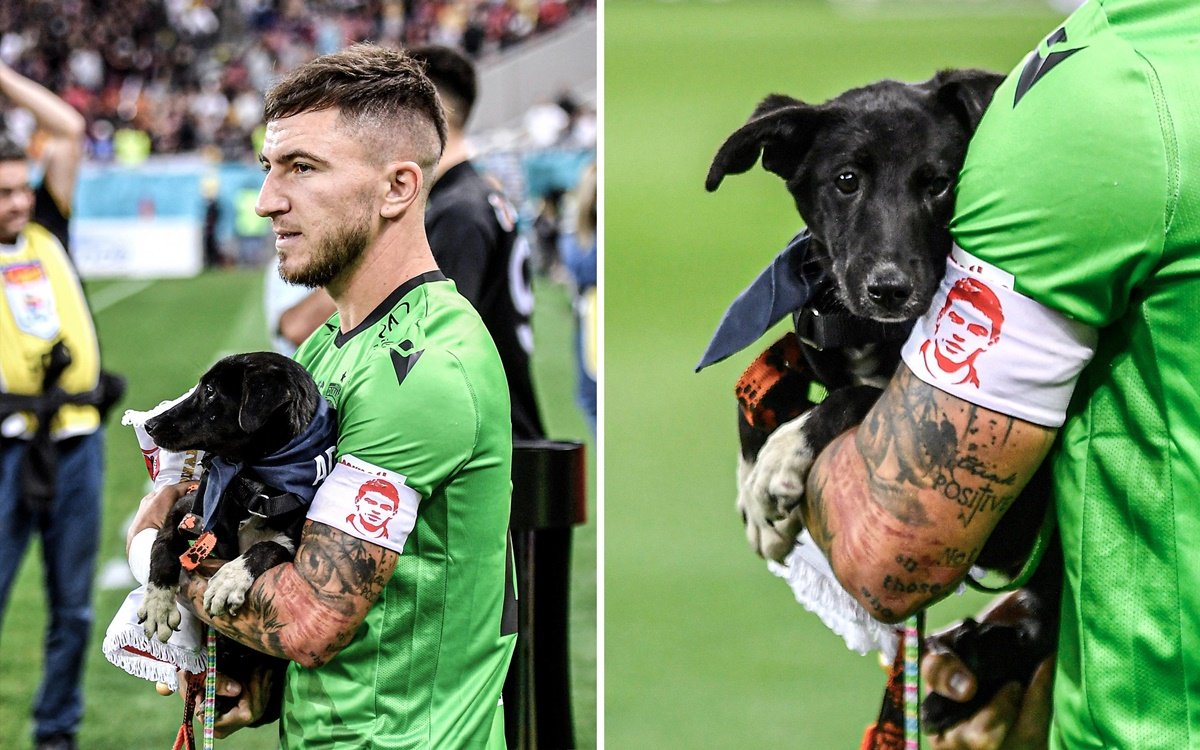 В Румынии футболисты вышли на поле с собаками на руках 1